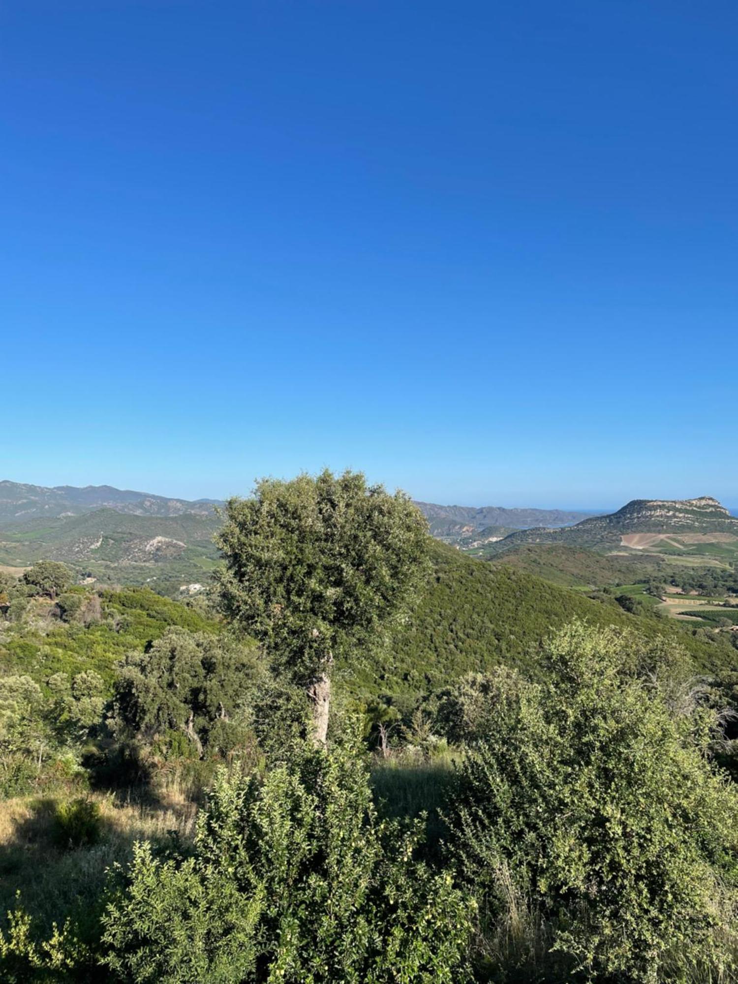 Casa Di Cajucan Poggio-d'Oletta Bagian luar foto