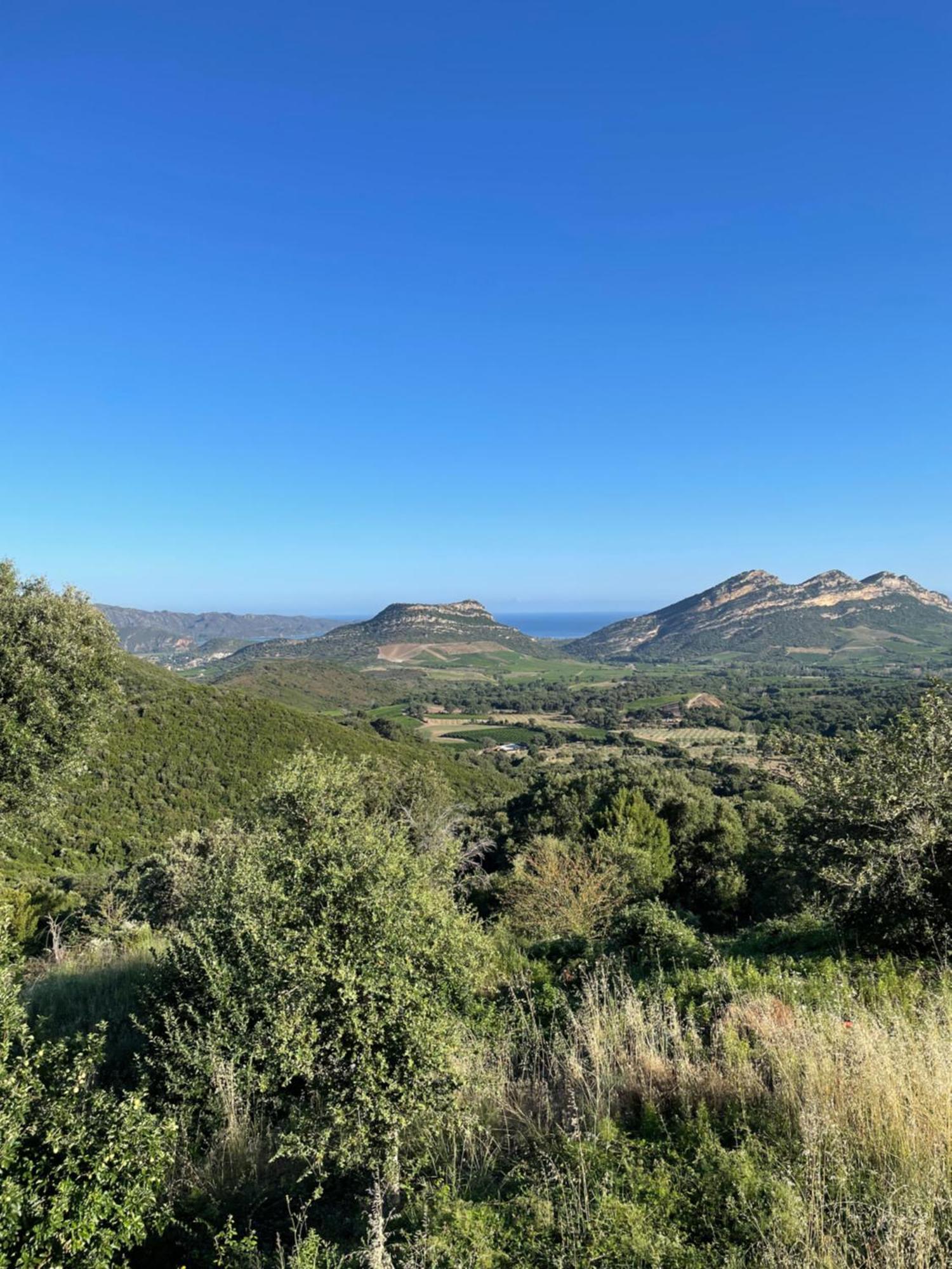 Casa Di Cajucan Poggio-d'Oletta Bagian luar foto