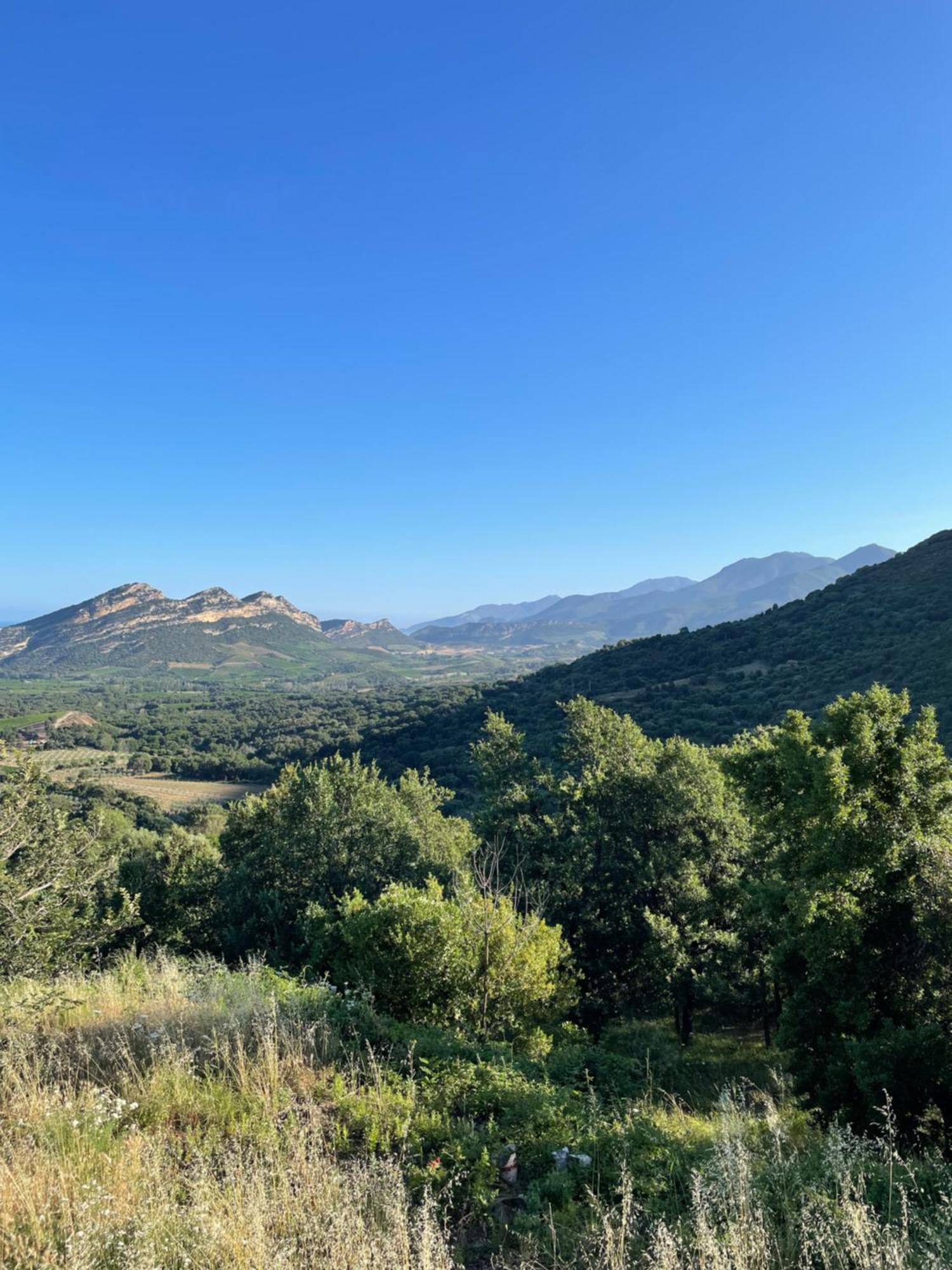 Casa Di Cajucan Poggio-d'Oletta Bagian luar foto