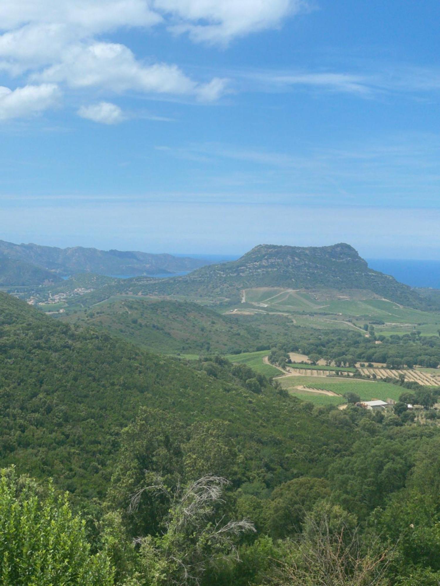 Casa Di Cajucan Poggio-d'Oletta Bagian luar foto