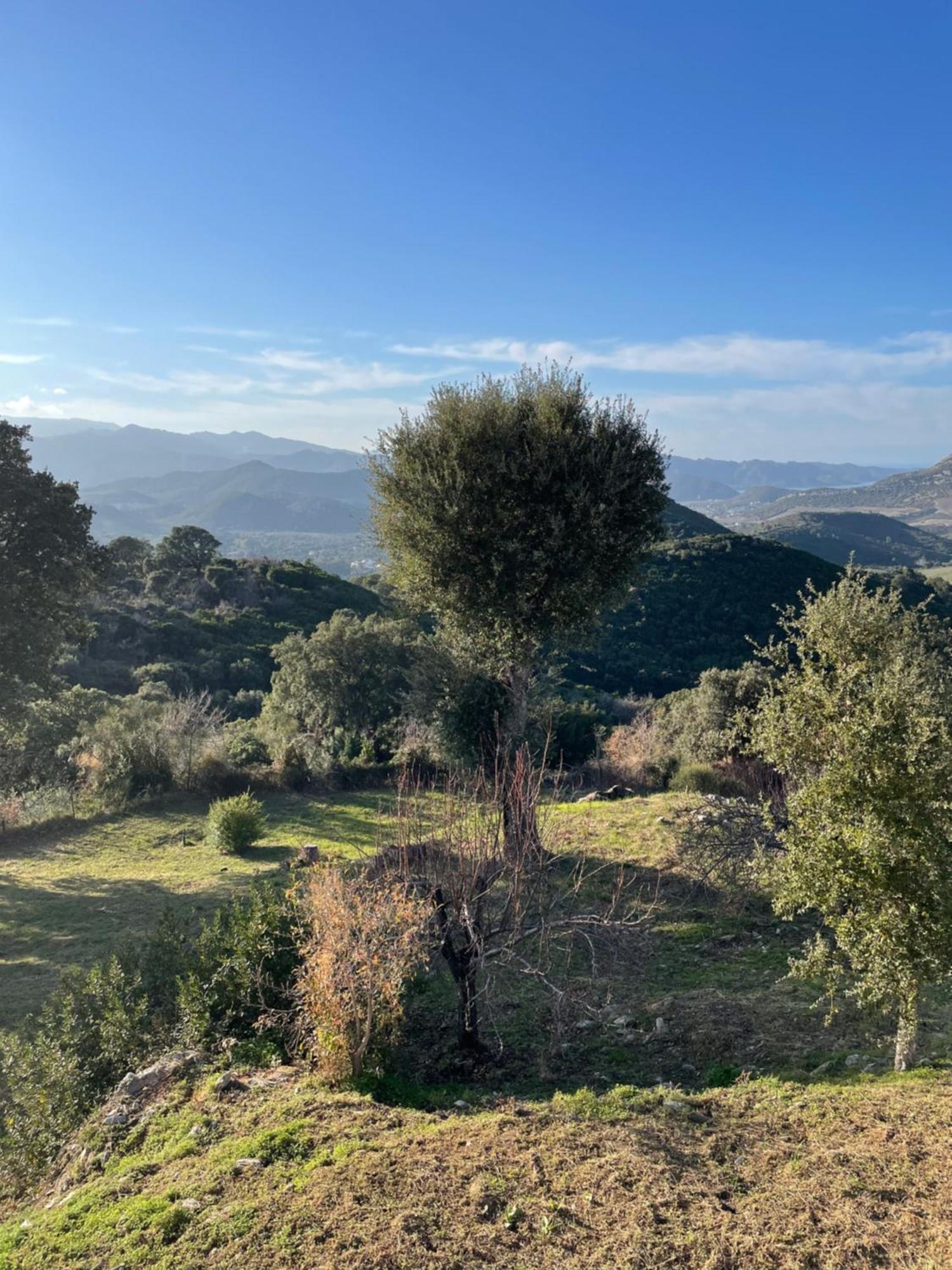 Casa Di Cajucan Poggio-d'Oletta Bagian luar foto