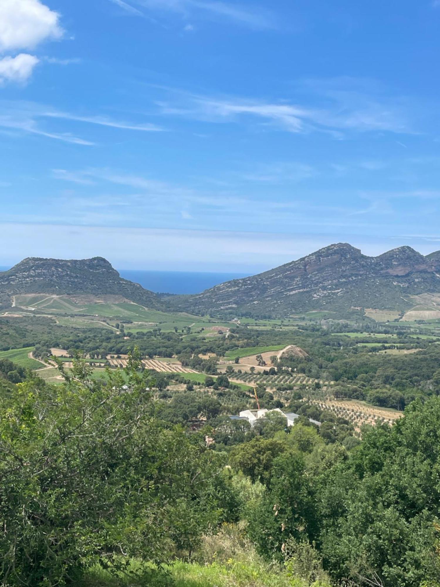 Casa Di Cajucan Poggio-d'Oletta Bagian luar foto