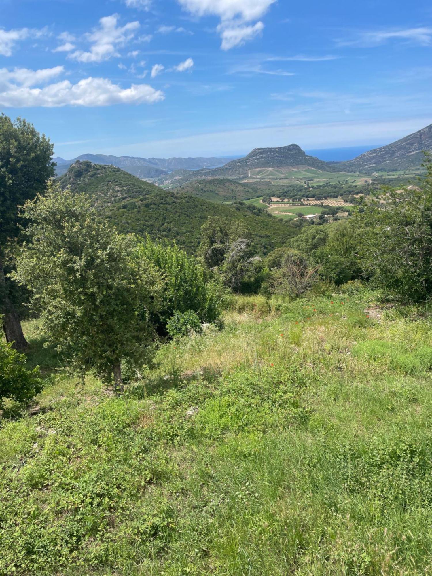 Casa Di Cajucan Poggio-d'Oletta Bagian luar foto